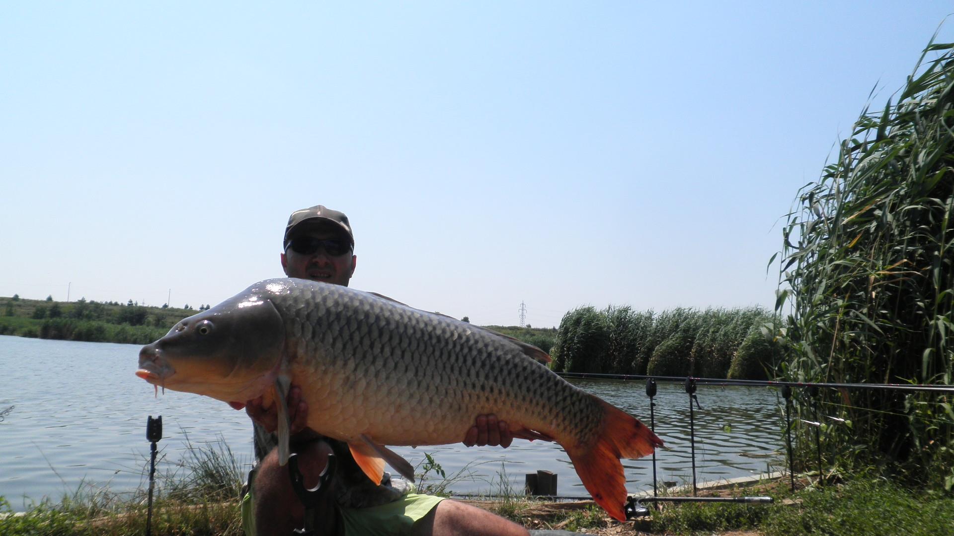 Tancabesti - p7100111.JPG